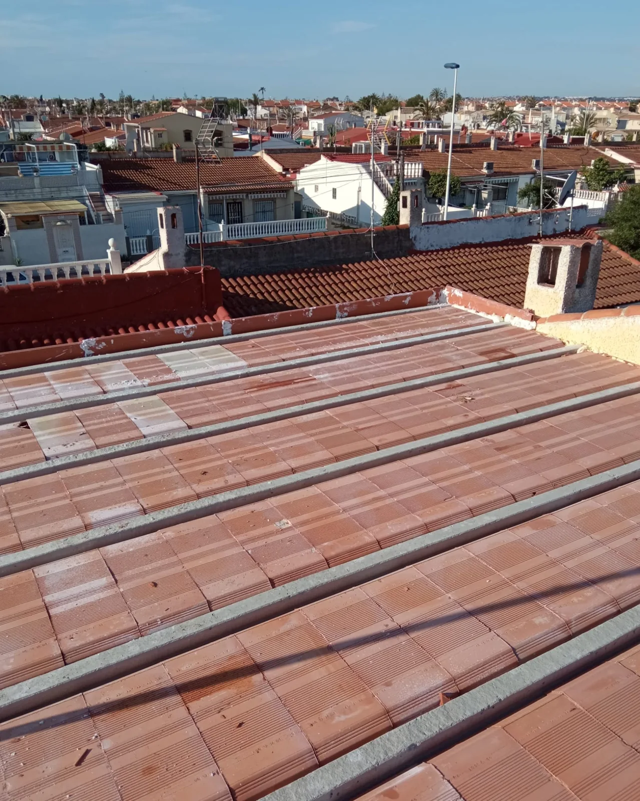 Estructura de obra nueva